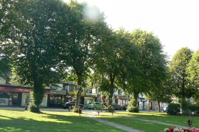 Limes on a village green