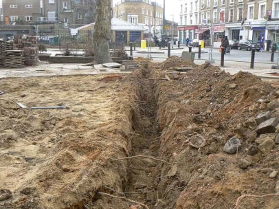 That’s some root severing. Strangely the mature Planes are still in great health.