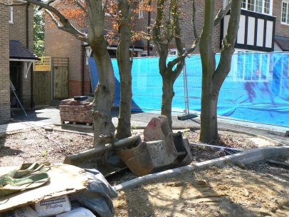 Where is the tree protection?