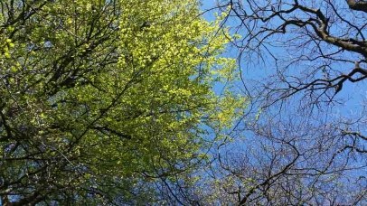 Spring is in the air.