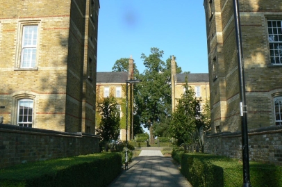 Appropriate trees and hedges enhance the public realm