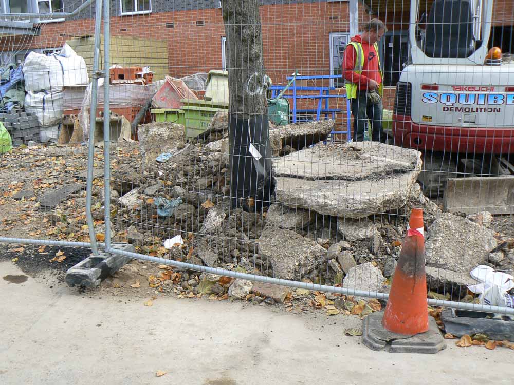 The Council prosecuted and new semi mature trees were planted and protected.